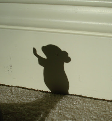 mouse shadow
