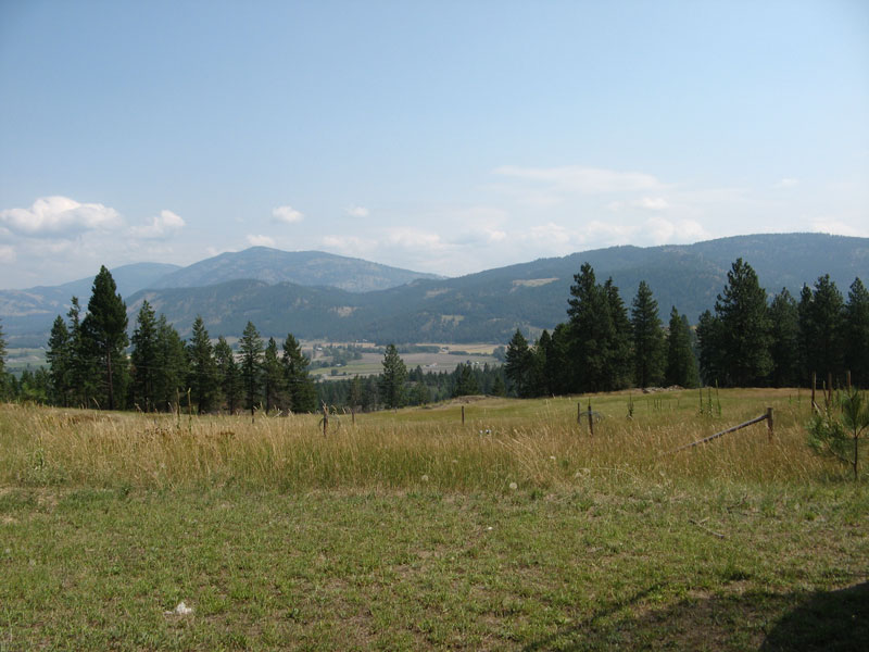 [IMG_3367.jpg]