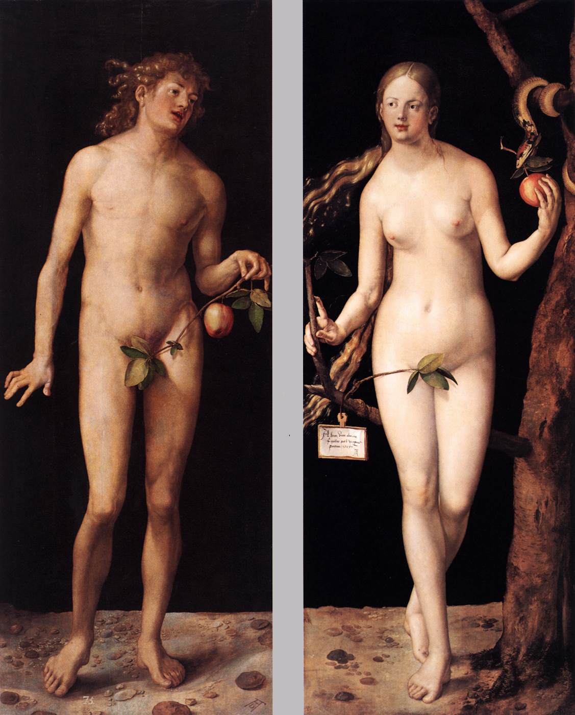 Durer Adam