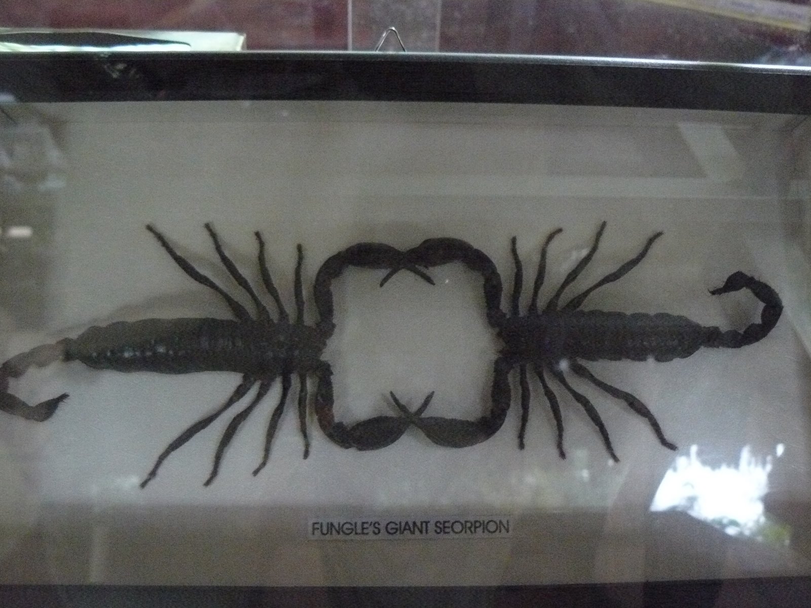 [ï½»ï½¿ï¾ .JPG]