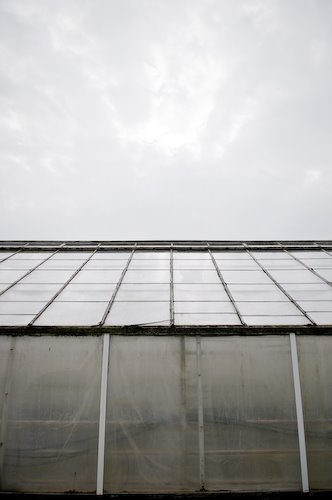 [donkaÂ©-081011-_DSC4078.jpg]