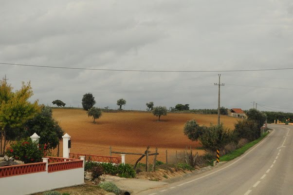 [DSC_8608.jpg]
