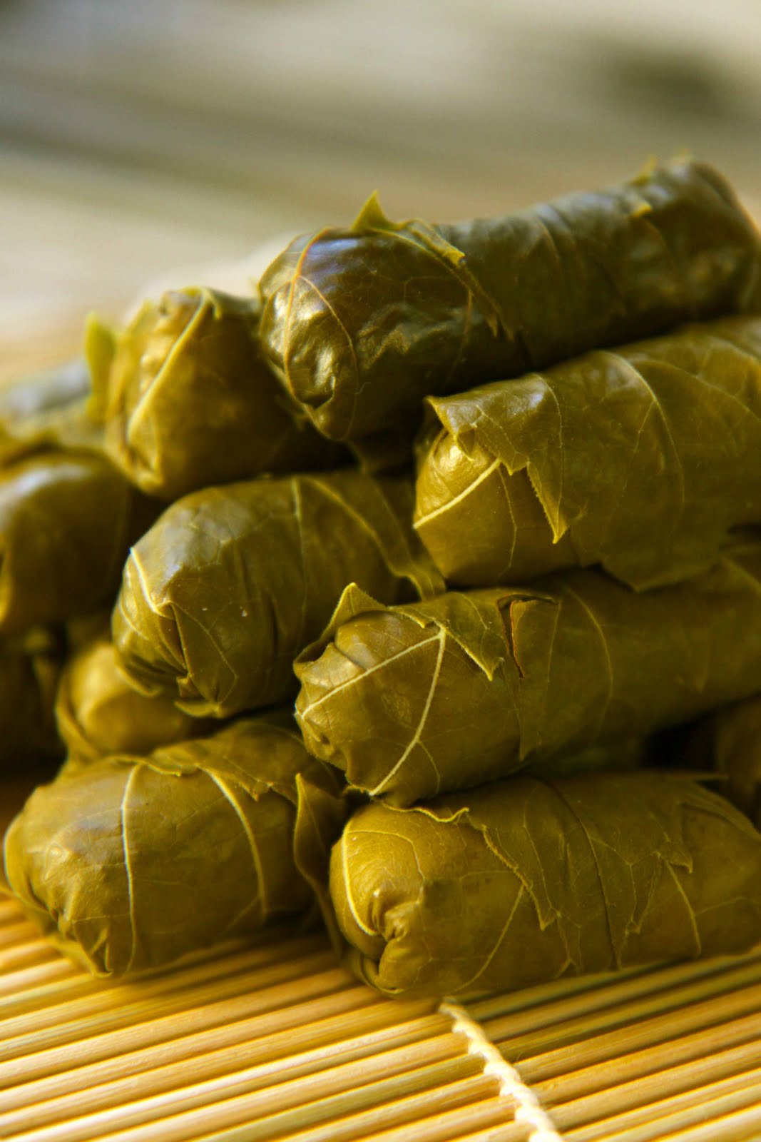 Wild About Grape Leaves