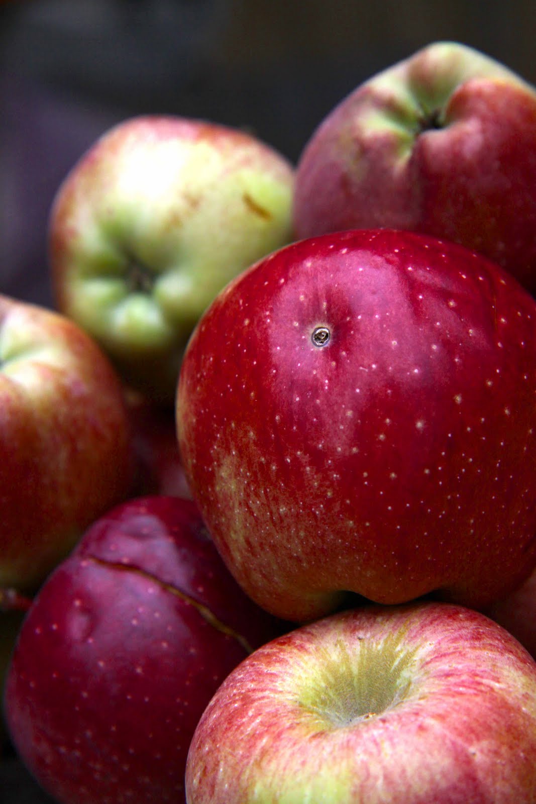 Savory Fried Apples with Onions and Sage, and Sweet Fried Apples with