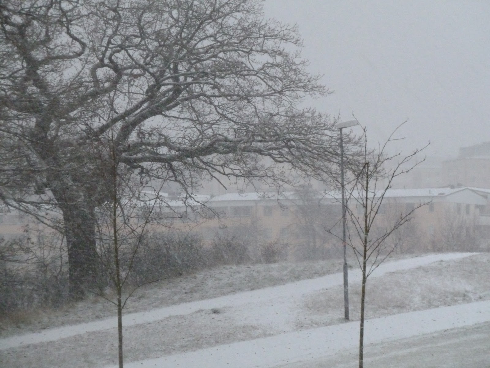 Pictures Of Snowstorm