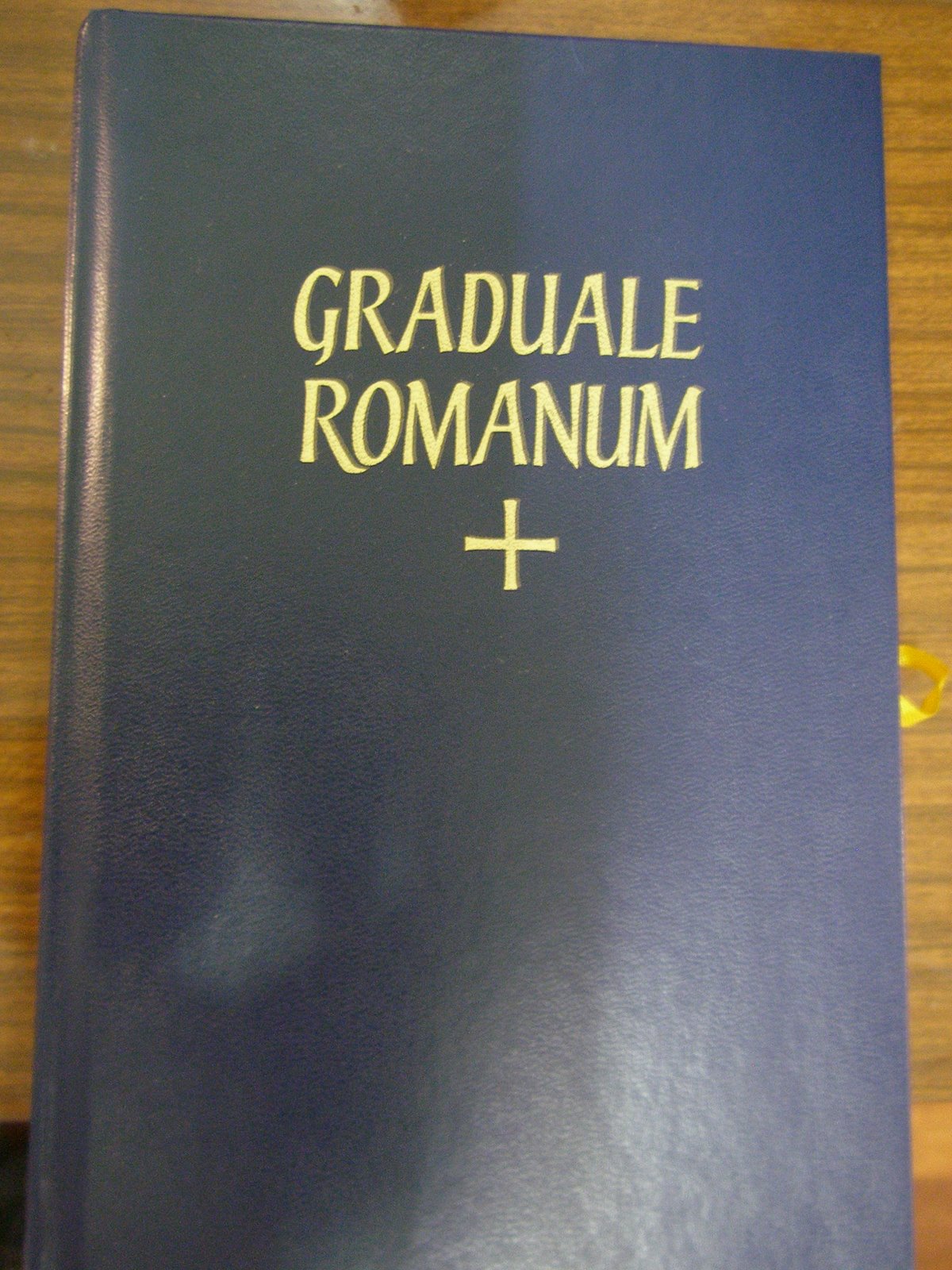 [P7094887.JPG]