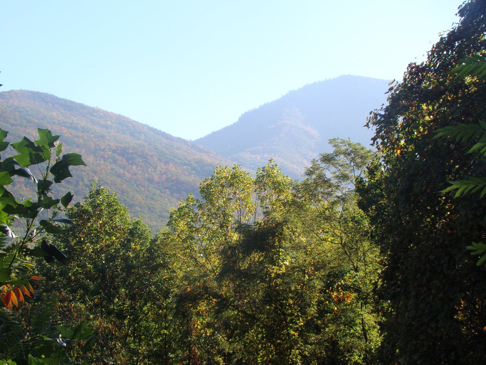 [DSC00551.JPG]