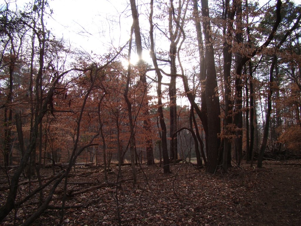 [DSC01028.JPG]