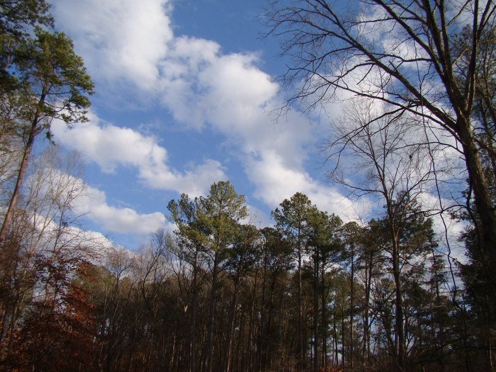 [DSC01029.JPG]