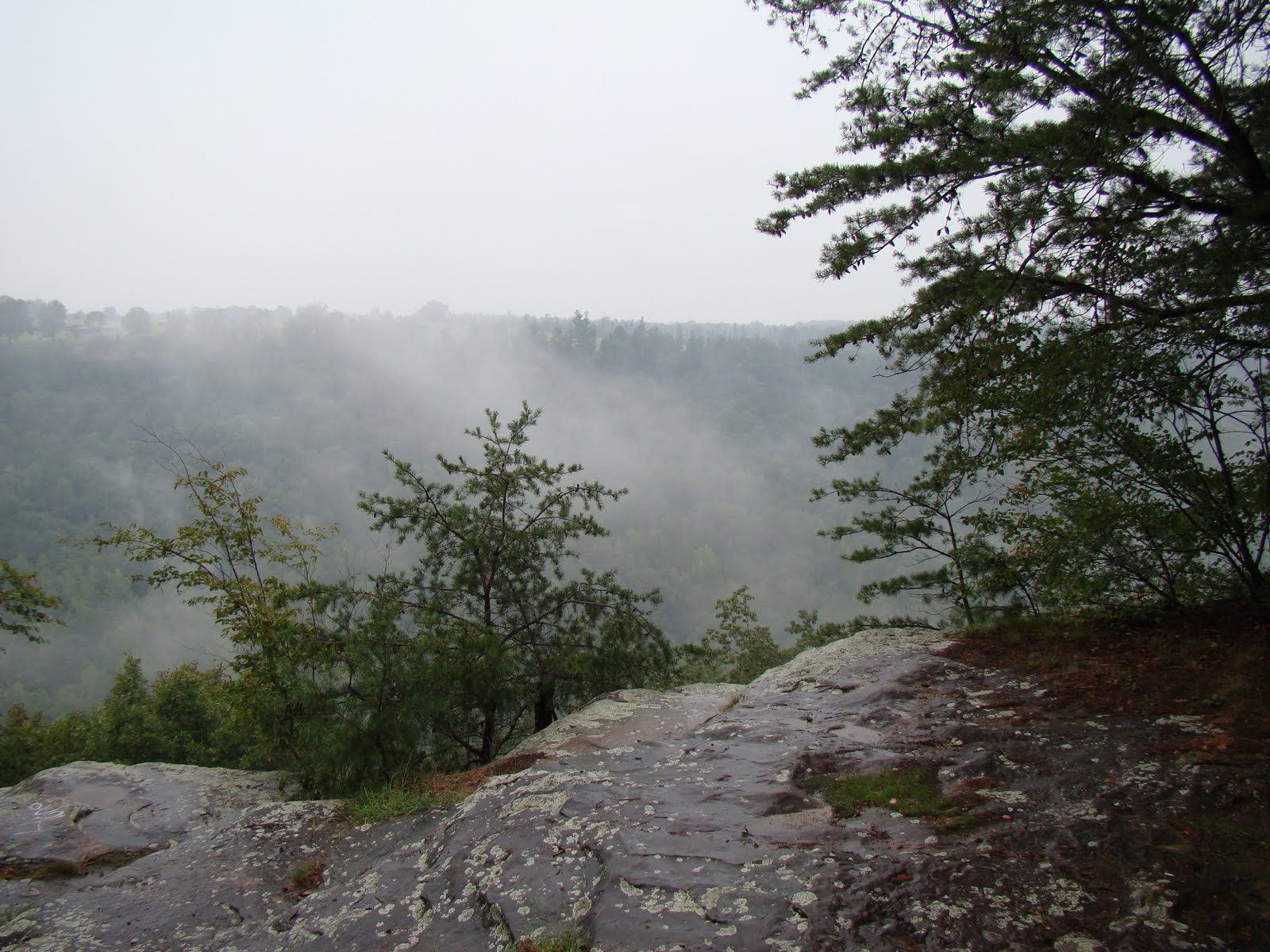 [DSC01799.JPG]