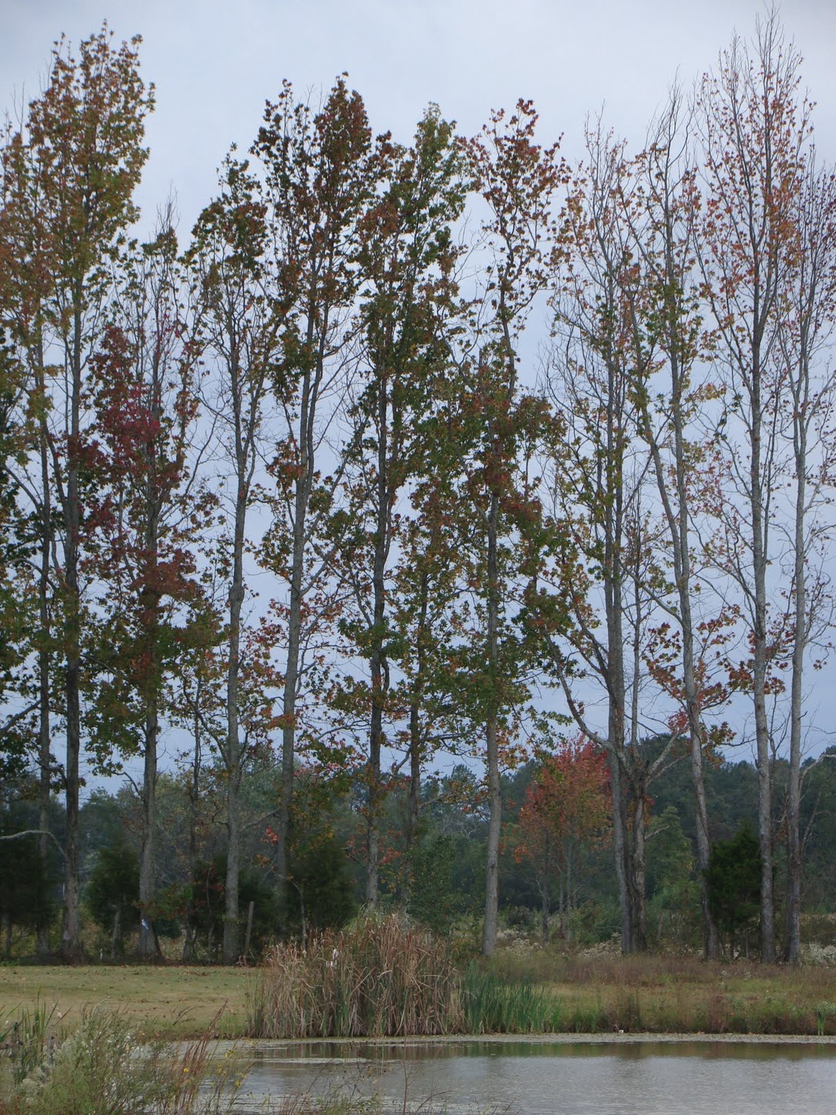 [J3456x2592-00253.jpg]