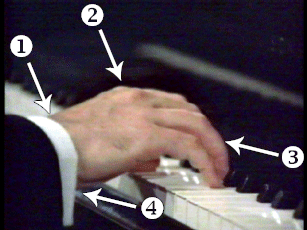 Piano Hand Position