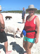 A Day at Pigs Beach