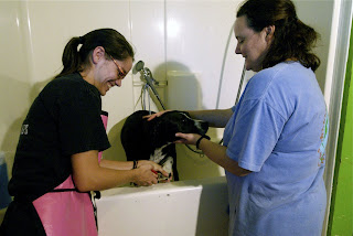 PMP 0455+(2) Were Only Human