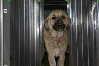 Kaki+007 Its a Small World After All!