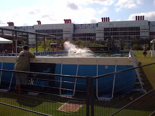 dock+diving+2 Dock Diving Mission Accomplished!