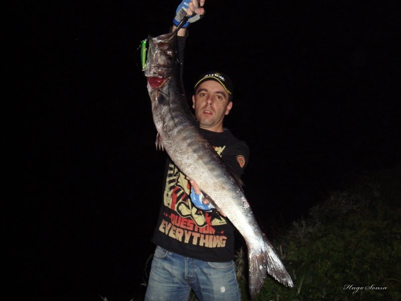 [DSC02498+copy..jpg]