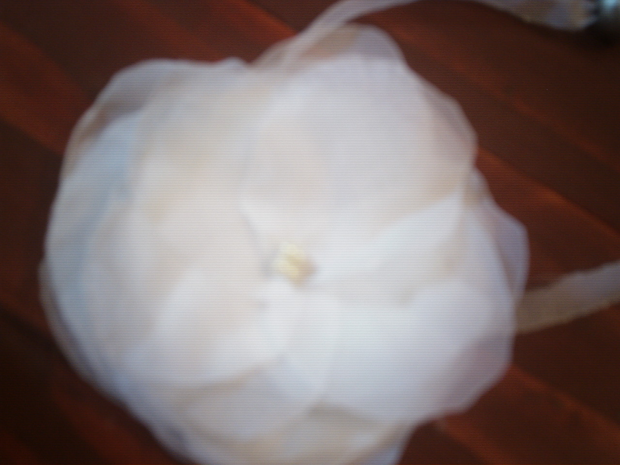 [PIC02068.JPG]