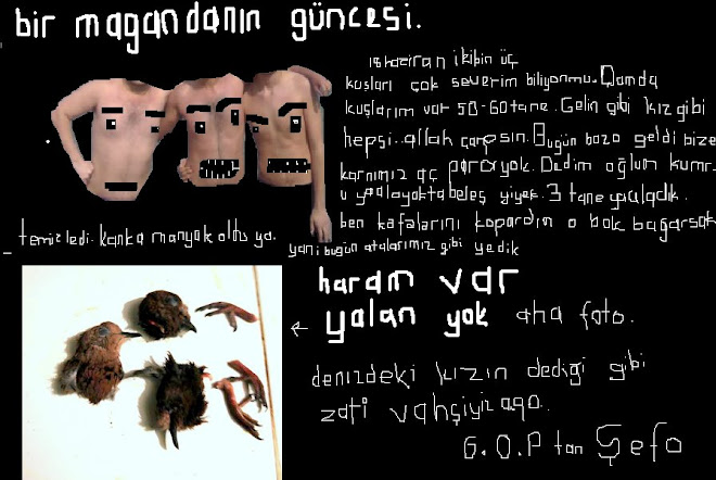 bir magandanın güncesi