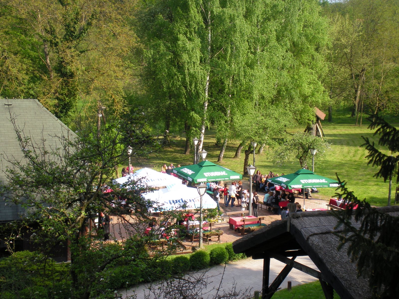 [DSCN2465.JPG]