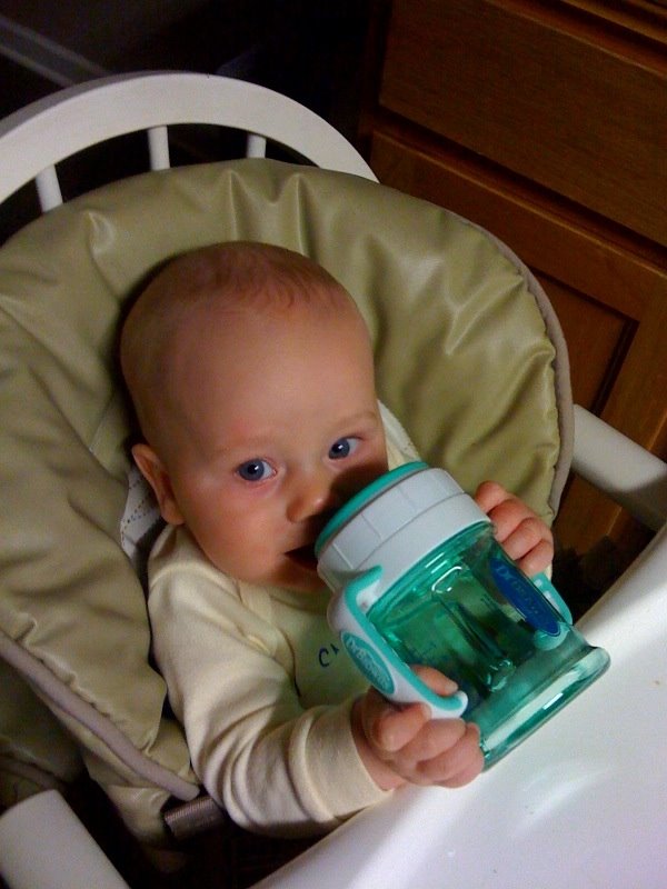[sippy.JPG]