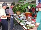 Kuching Herbal Exhibition 6