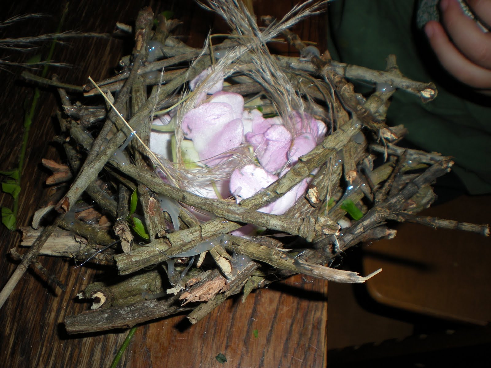 growmama stick nest for chick