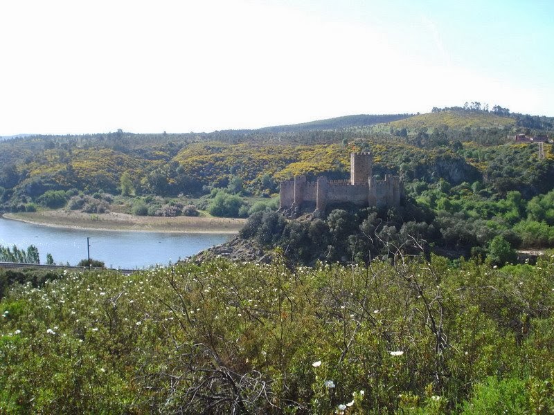 [dsc06704resize.jpg]