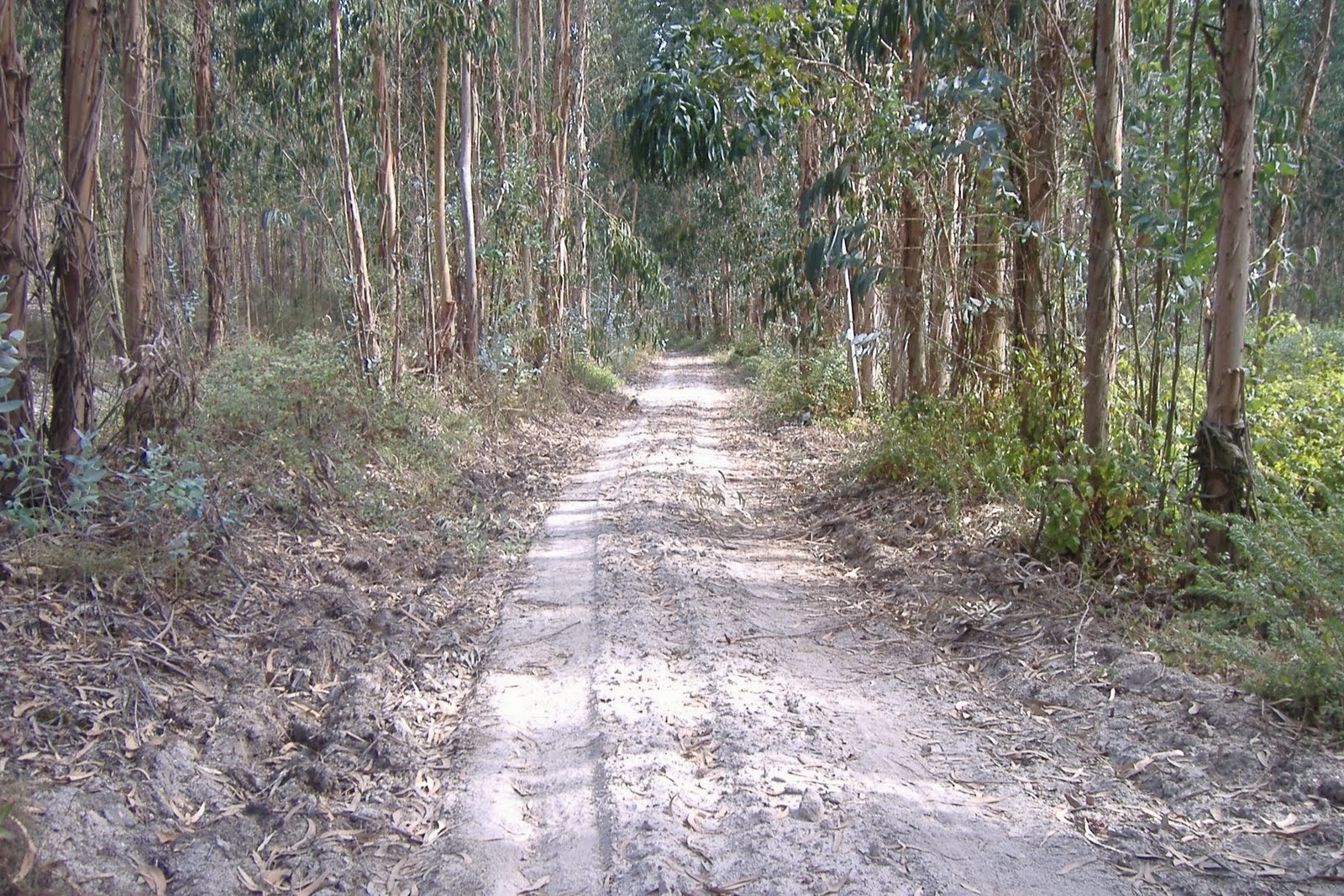 [DSCF2743.JPG]