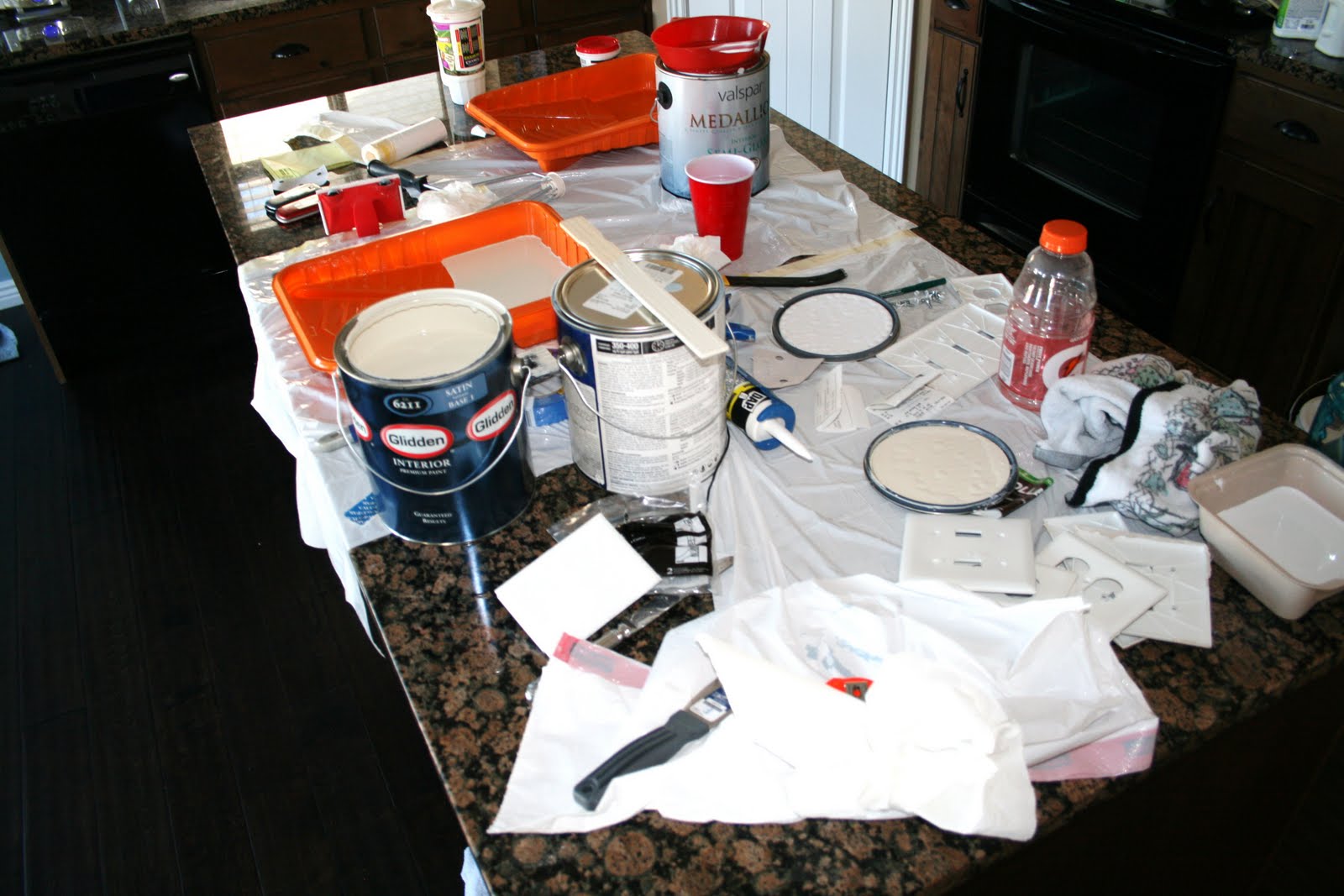 [House+Remodel+and+Park+023.JPG]