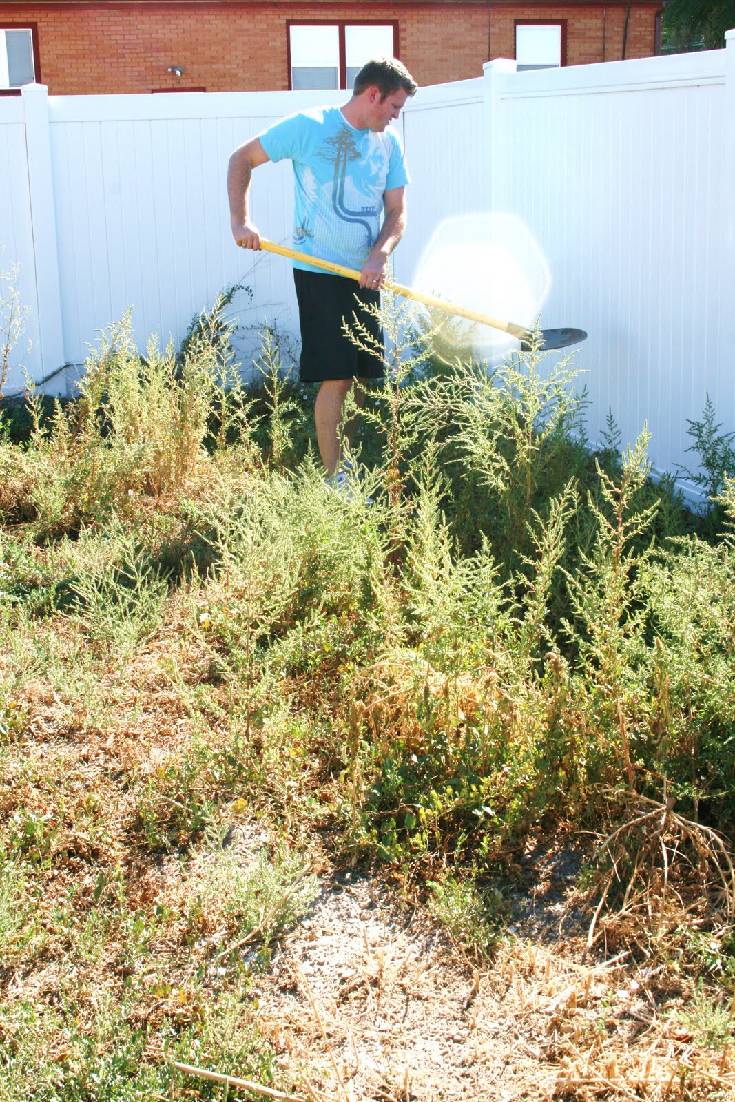 [House+Remodel+and+Park+089.JPG]