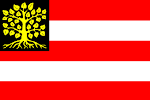 The Den Bosch flag