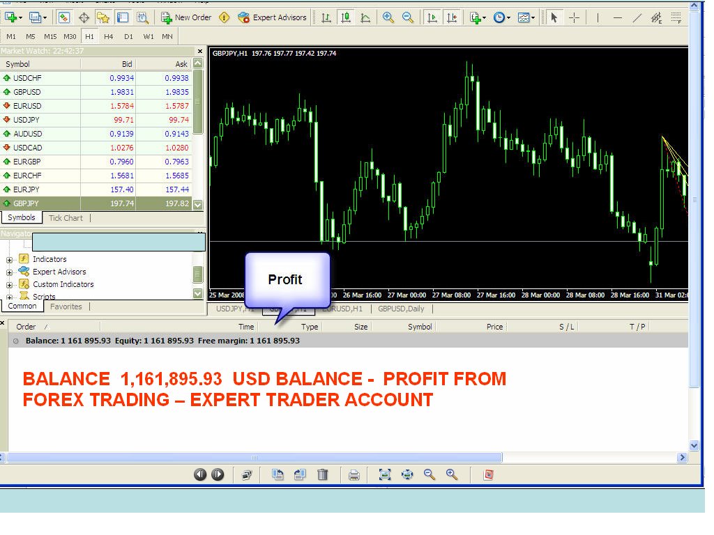 PROFIT FROM EXPERT TRADER FOREX