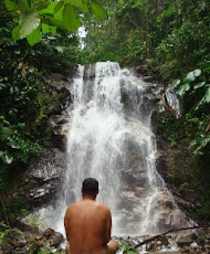 Meditación y naturismo en cascadas.