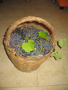 L'uva fragola per la mostarda:-)