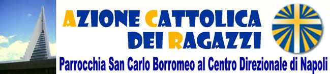 A.C.R. - S. Carlo Borromeo - Centro Direzionale NA