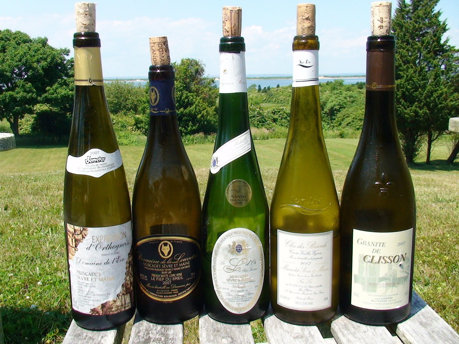 Brooklynguy's Wine and Food Blog Martha's Vineyard