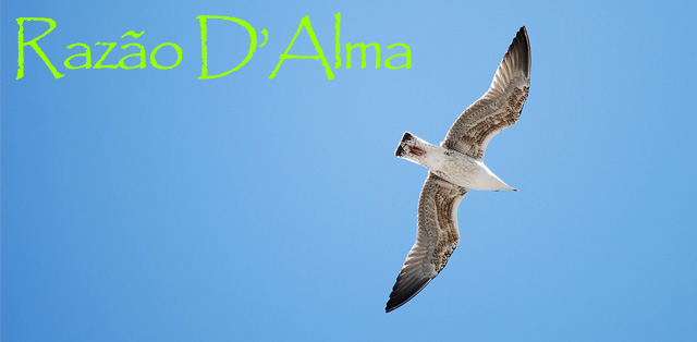 Razão D'alma