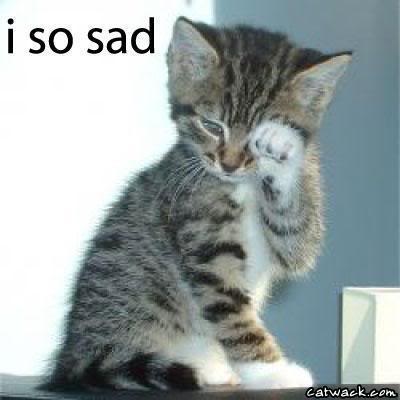 Cat Looking Sad