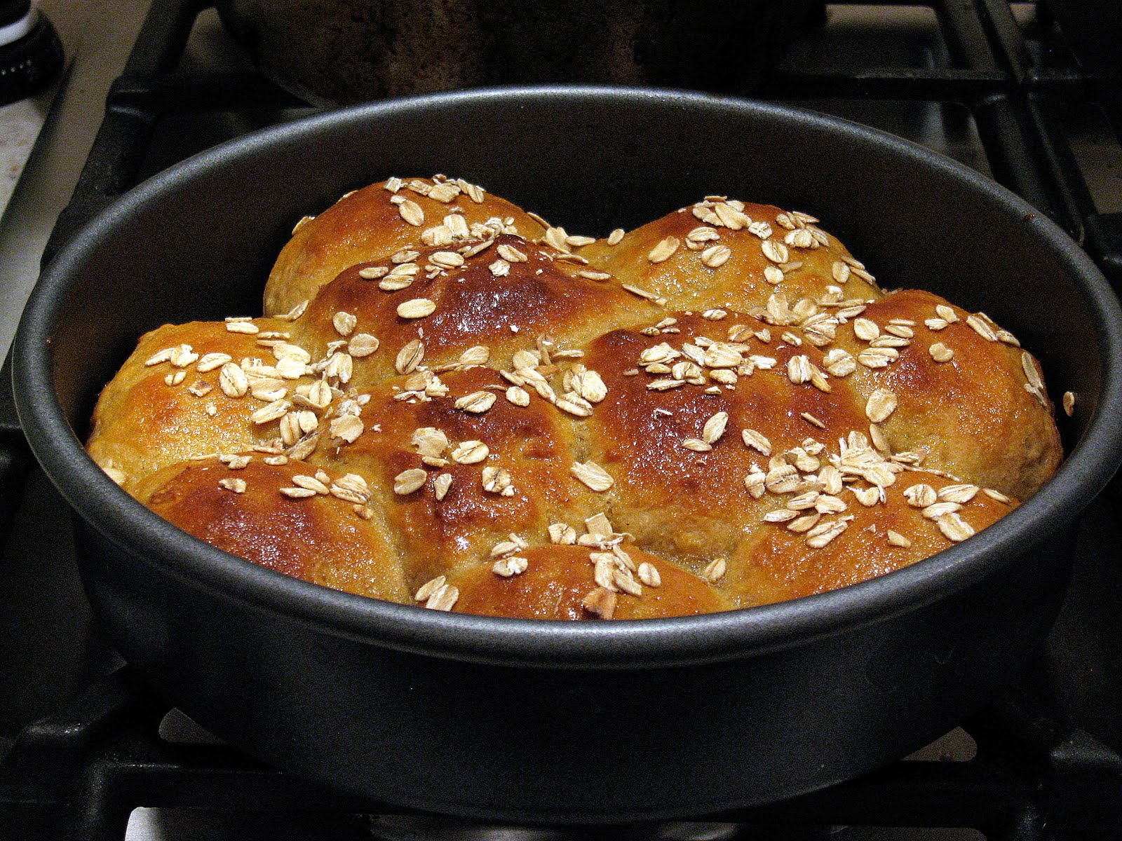 Maple Buttermilk Cornmeal Rolls The Spiced Life