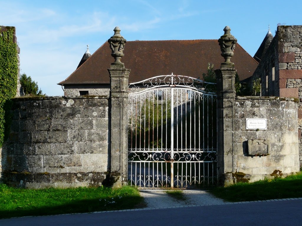 chateau a vendre vosges
