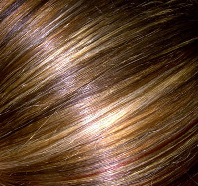 hair color brown and blonde streaks