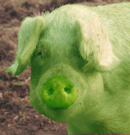 [pig+green.jpg]
