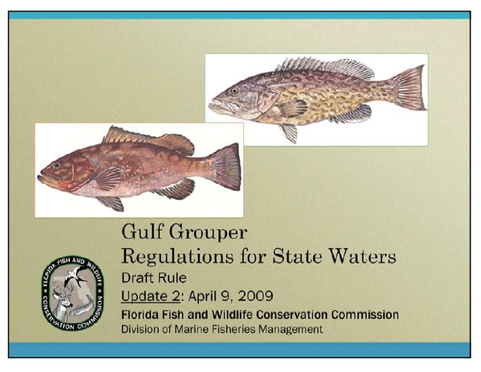 Inshore FloridaOffshore Anywhere New Rules; Commercial Grouper in