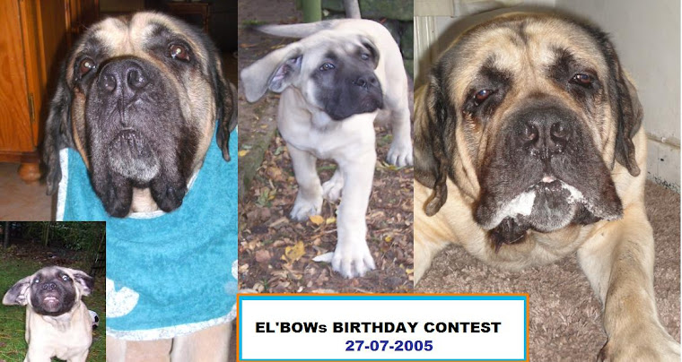 El'bows Birthday Contest