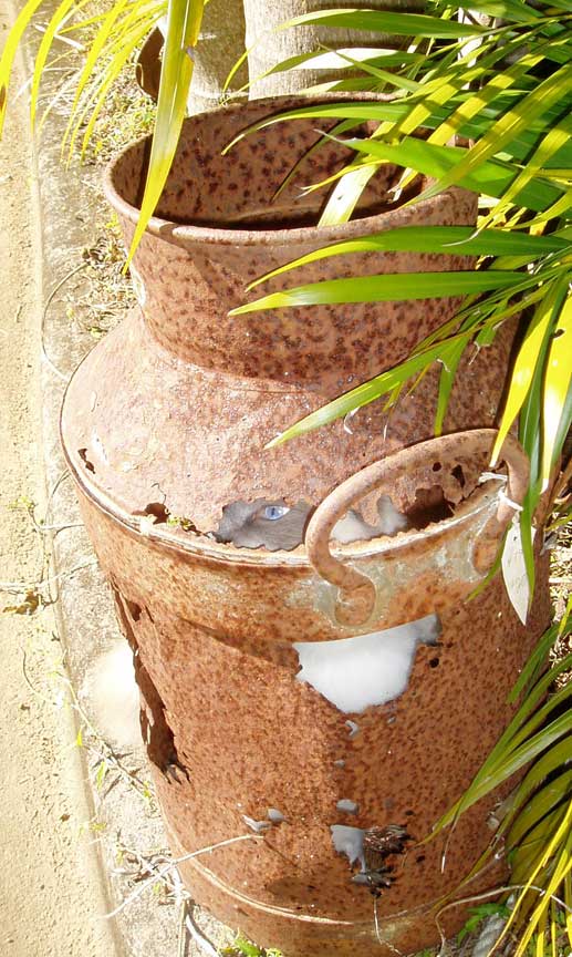 Rustic Garden Ornaments Garden Design Ideas