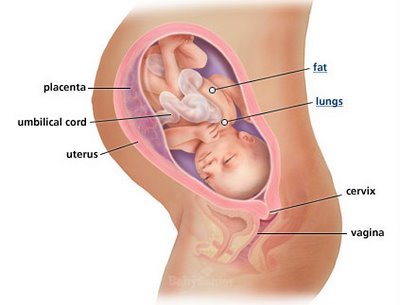 By 34 weeks pregnant,
