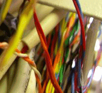 [wired.gif]