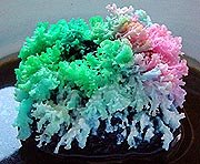 Trendy TreeHouse: Crystal Gardens Tutorial