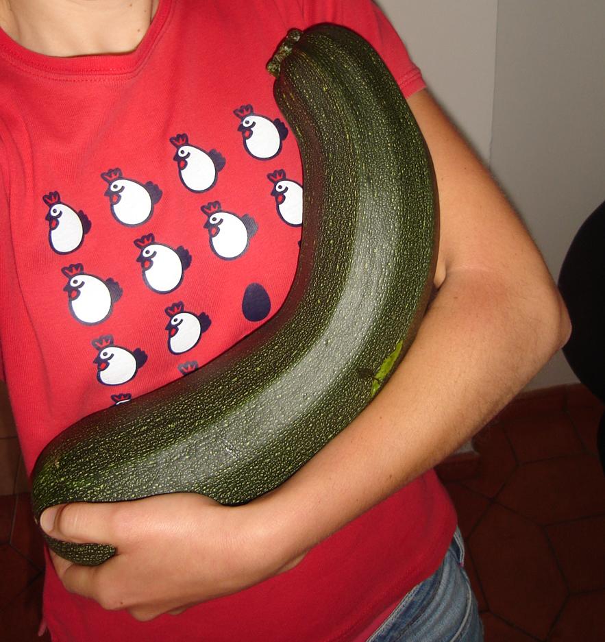 [courgette2.JPG]